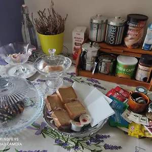 https://holiday-house-i-colli-pisani.it-tuscanyhotel.com